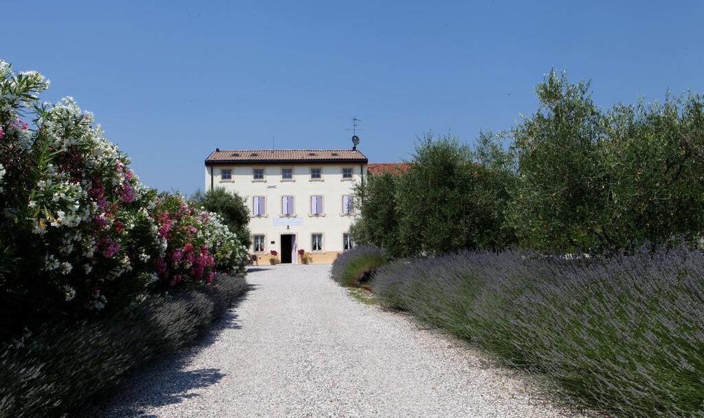 Agriturismo Casa Aurora Bussolengo Exterior photo