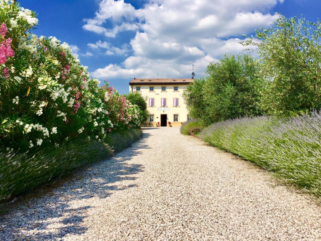 Agriturismo Casa Aurora Bussolengo Exterior photo
